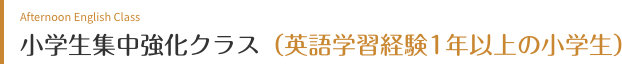 小学生集中強化クラス